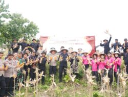 Brimob Polda Jateng Panen 9 Ton Jagung, Bukti Komitmen pada Program Strategis Nasional