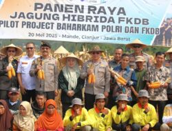 Jagung Hibrida Bawa Harapan Baru: Program Ketahanan Pangan Polri dan FKDB Cetak Hasil Maksimal