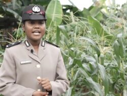 Bripda Imelda, Simbol Perubahan Polri yang Siap Turun Tangan Bantu Petani Lewat Tugas sebagai Problem Solver