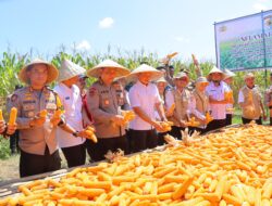 Itwasum Polri Turun Tangan: Fasilitasi Kebutuhan Petani Jagung untuk Hasil Optimal