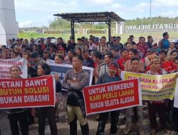 STN: Penertiban Kawasan Hutan Perlu Pendekatan Humanis