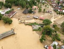 Greenpeace Serukan Respons Pemerintah yang Terarah Hadapi Banjir Sumatera