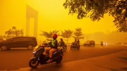 Karhutla Indonesia Picu Sorotan Lintas Negara, Perusahaan Malaysia-Singapura Masuk Laporan