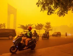 Karhutla Indonesia Picu Sorotan Lintas Negara, Perusahaan Malaysia-Singapura Masuk Laporan